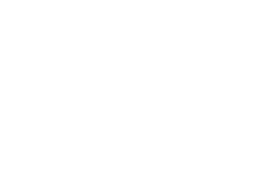 HARDV2_MASCOT